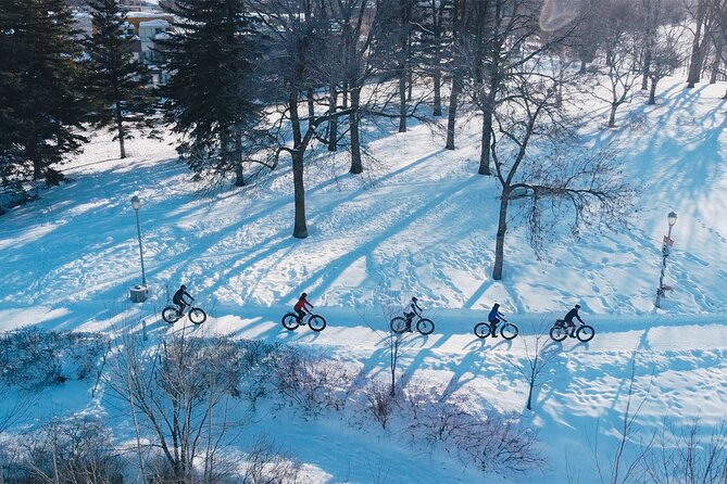 Introduction to Fat Biking Activity in Quebec City
