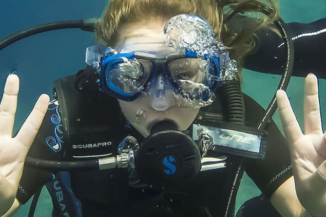 Introductory Scuba Diving Experience for Beginners - Fréjus Saint-Raphaël