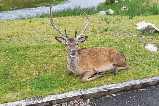 Inverness: Small-Group Highlands Tour, Incl. Applecross