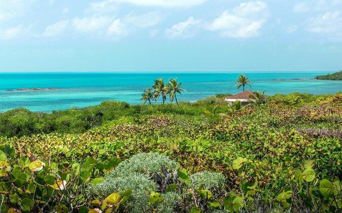 Isla Contoy Private Day Tour, From Cancun