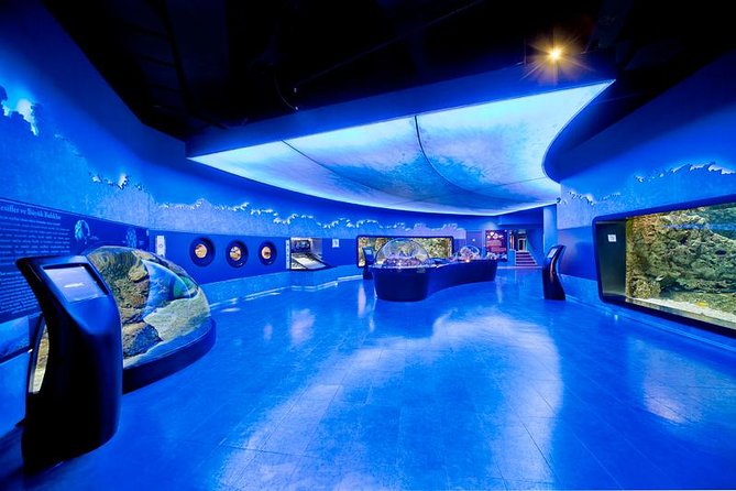 Istanbul Aquarium and Aqua Florya Independent Shopping Trip - Good To Know