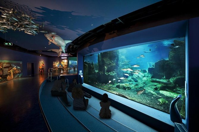Istanbul Aquarium, Wednesday Bazaar & 212 Mall Solo;Group - Good To Know