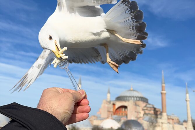 ISTANBUL BEST Private Guided FullDay City Tour (CRUISEPORT-HOTEL) - Good To Know