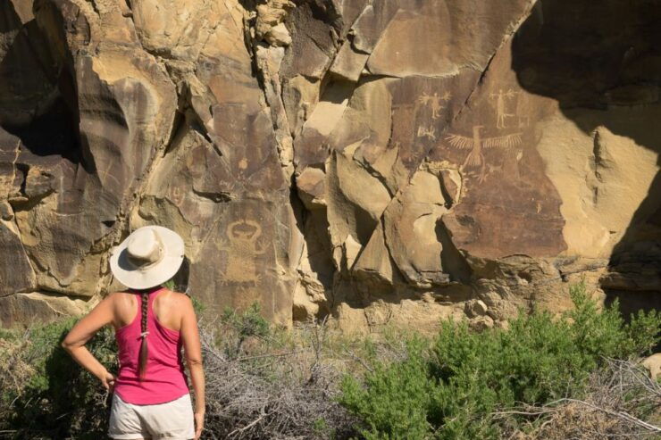 Jackson: Grand Teton, Bighorn Sheep, and Petroglyphs Tour - Good To Know