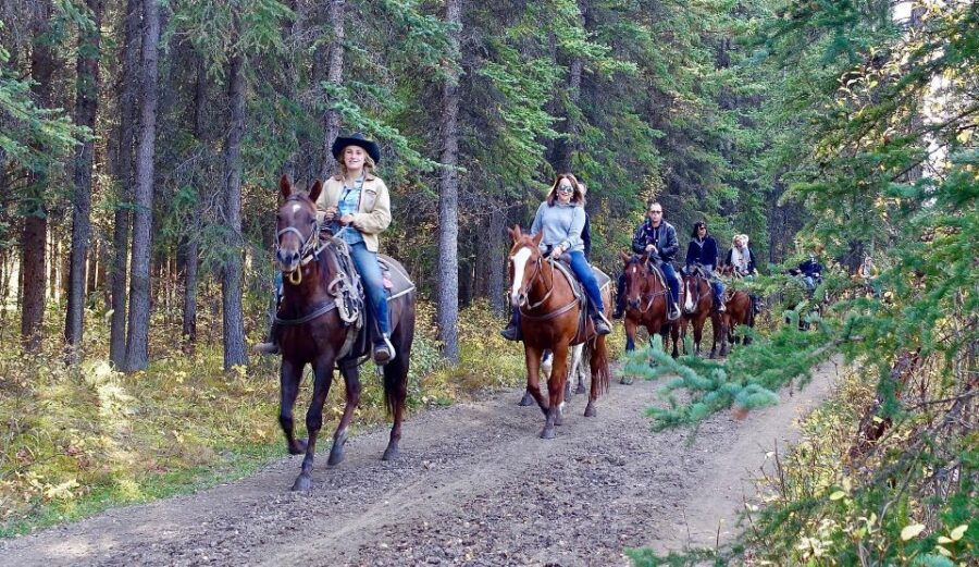 Jackson Hole: Bridger-Teton National Forest Horseback Ride