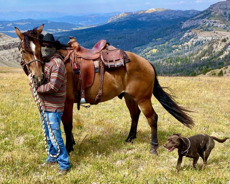 Jackson Hole: Dinner Cookout & Bridger-Teton Horseback Ride