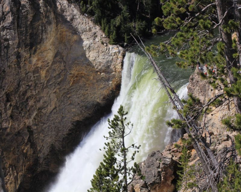 Jackson Hole: Yellowstone Lower Loop Upper Loop 2-Day Tour