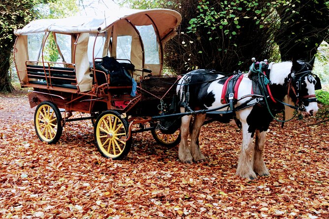 Jaunting Car Tour in Killarney National Park - Overview and Details