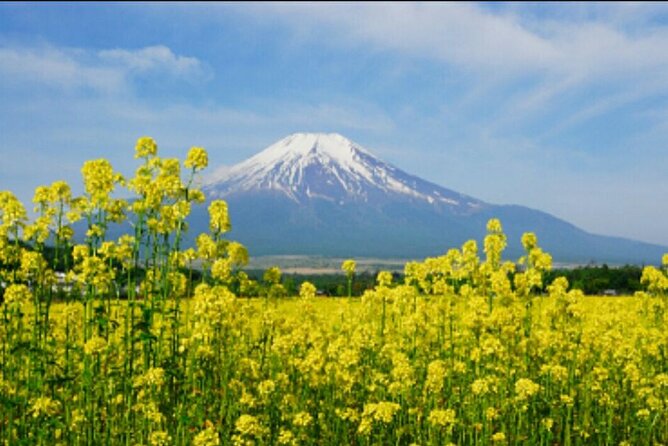 Jeju East Island Bus (Or Taxi) Tour Includes Lunch and Entrance Fee.