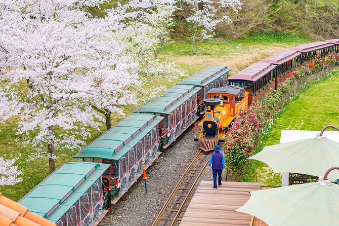 Jeju Island Private Package Taxi Tour – South of Jeju