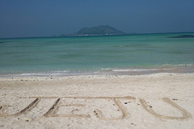 Jeju Private Tour in Woljeongri Beach & Forest & Dongmun Market