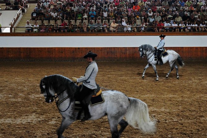 Jerez and Cadiz, With Horse Ballet and Sherry Tasting Full-Day From Seville - Overview and Tour Highlights