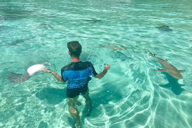 Jet Ski Moorea Private Tour Only