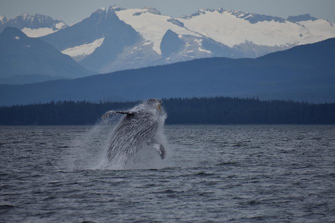 Juneau by Land & Sea