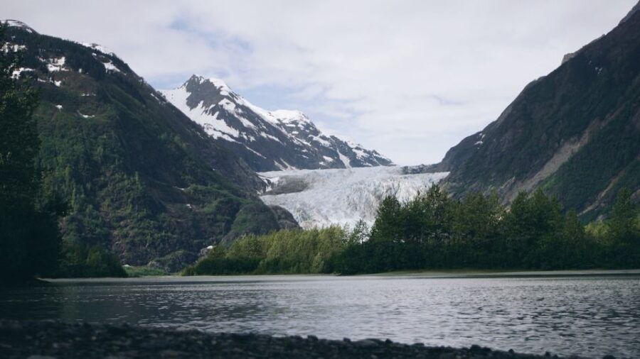 Juneau: Sentinel Lighthouse and Whale Watching Cruise - Good To Know