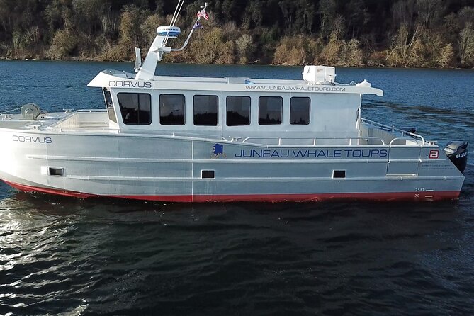Juneau Whale-Watching and Coast Expedition - Good To Know