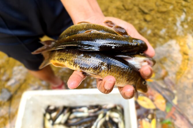 Jungle Survival Tour – Return to Nature – Depart From Hue, Da Nang