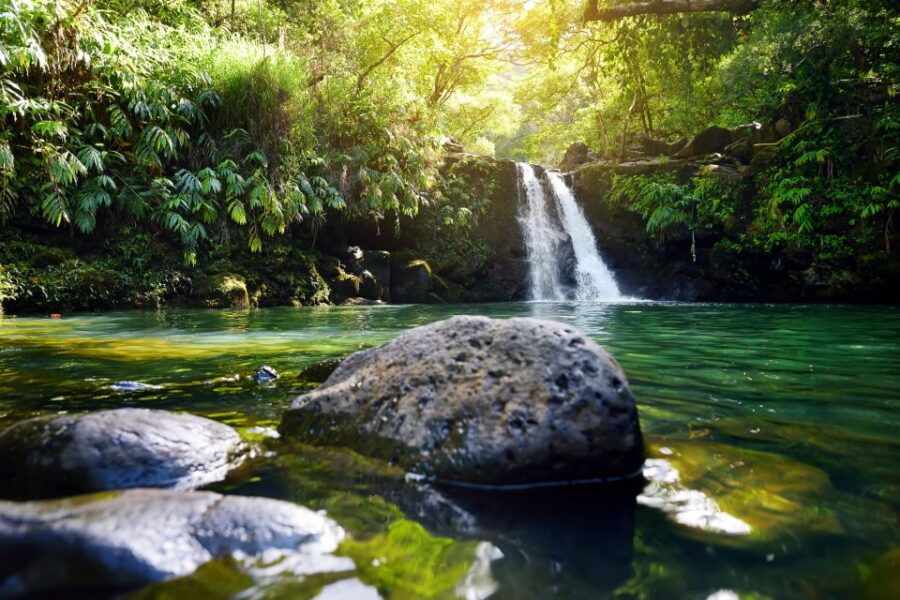 Kahului: Guided Rainforest and Waterfall Walk - Good To Know