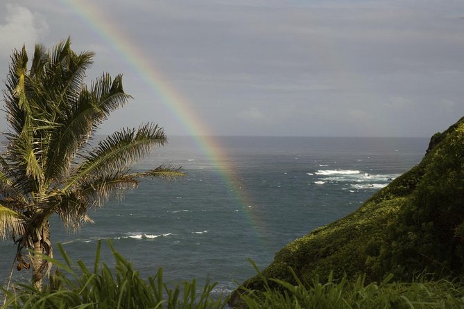 Kahului Private Half-Day Waterfall and Rain Forest Tour  - Maui - Tour Overview and Highlights