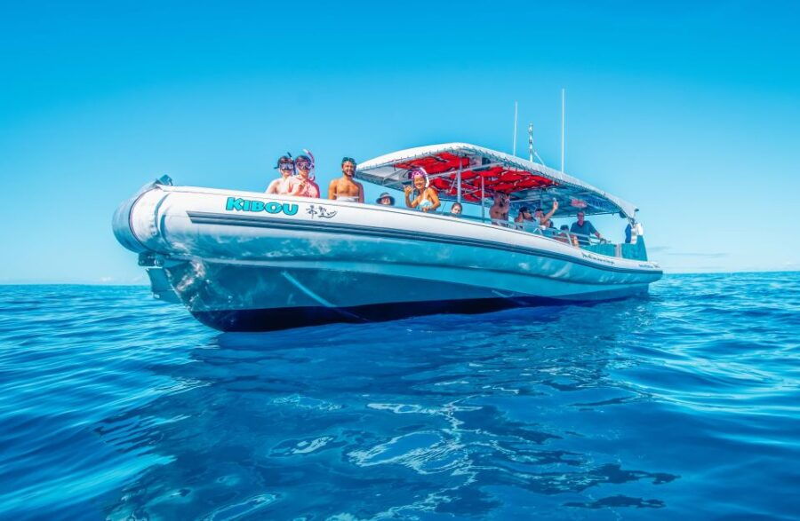 Kailua-Kona: Manta Ray Snorkeling With Hot Cocoa - Good To Know