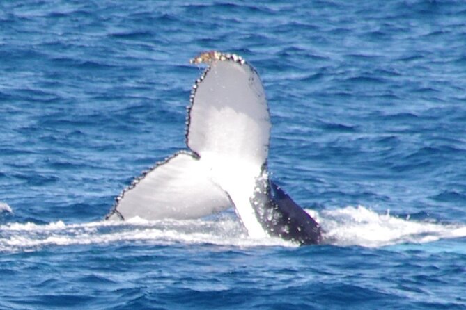 4 Best Tours In Kalbarri