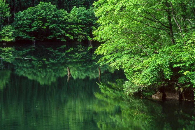 Kamikochi Feel Nature and Hiking 1 Day Trip (Near Takayama) - Good To Know