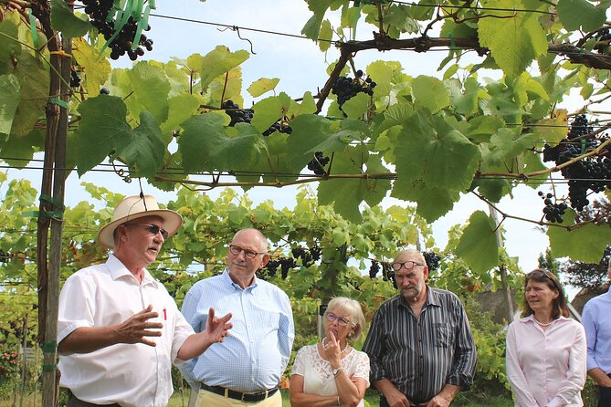 Karrebæksminde Vineyard Small-Group Guided Tour and Tastings - Denmark