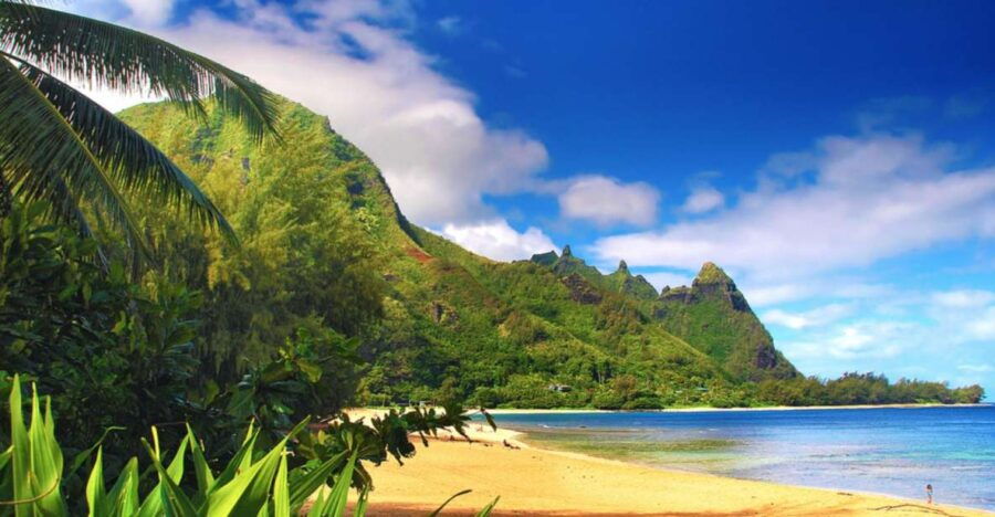Kauai: Customized Luxury Private Tour - Good To Know