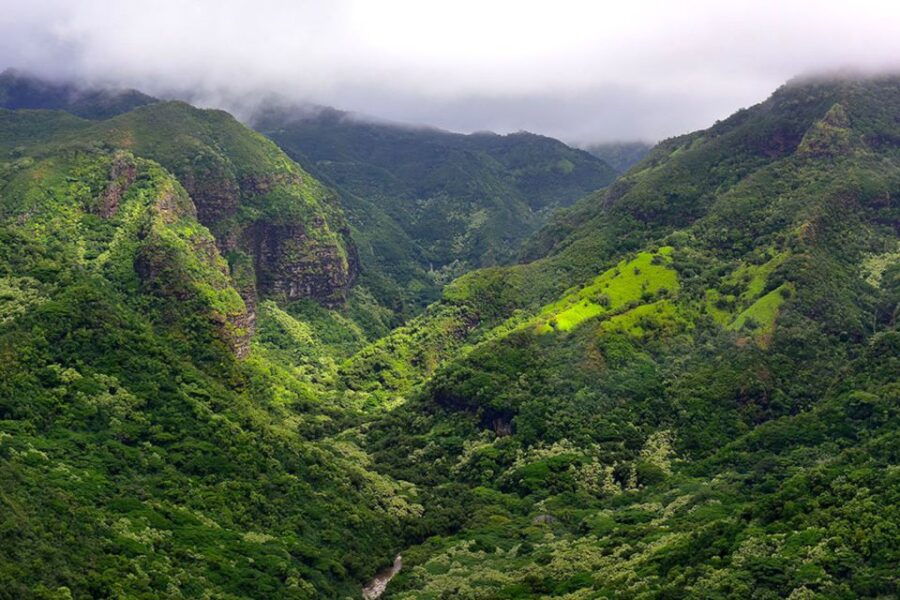 Kauai: Scenic Movie Locations Bus Tour
