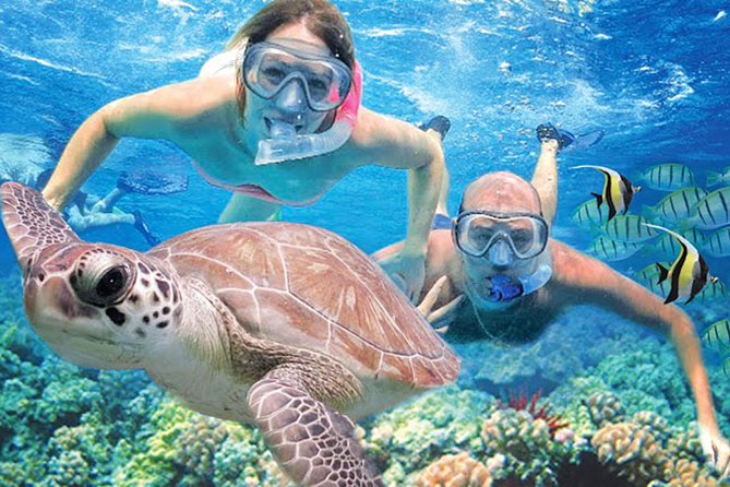 Kauais Ultimate Guided Shore (NO BOAT) Snorkeling Adventure - Good To Know
