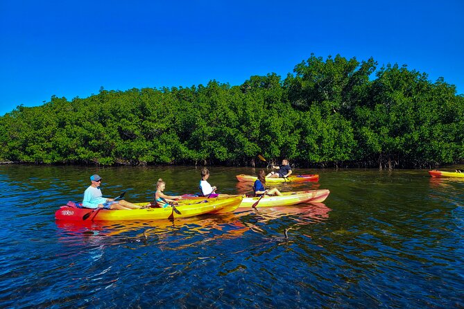 Kayak and Paddleboard Rentals at Siesta Key - Good To Know