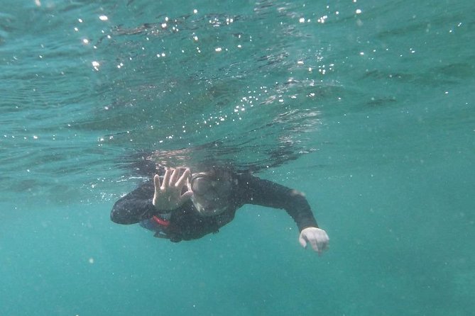 Kayak and Snorkel Tour Half Day - Good To Know