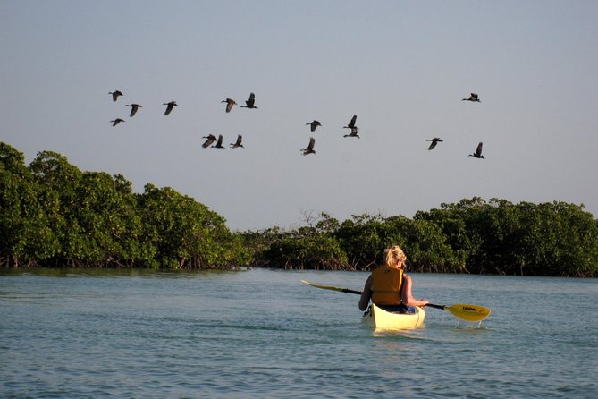 Kayak Eco Tour - Cancellation Policies