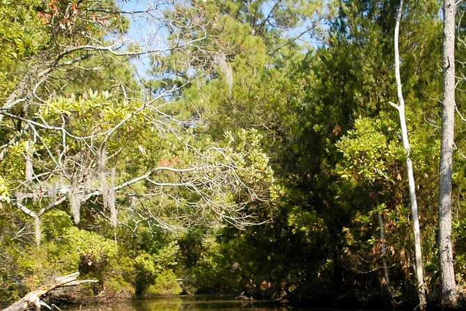 Kayak Rental on the Outer Banks