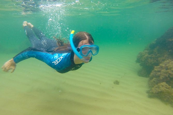 Kayak Route Snorkel in Cantabria