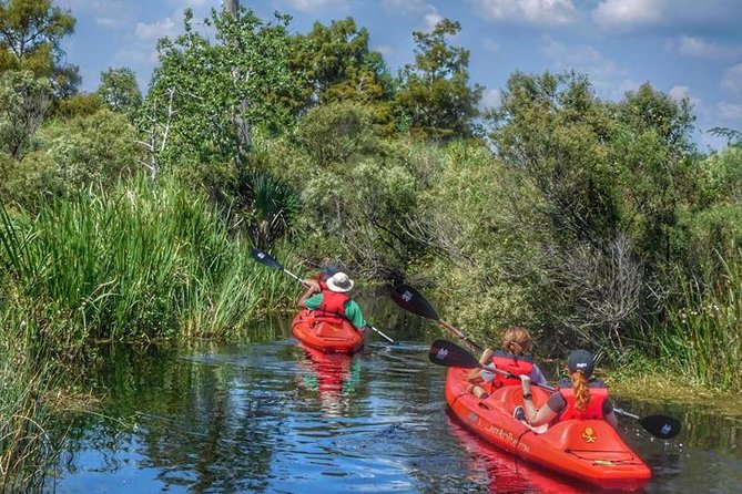 Kayak Swamp Tour With Transportation From New Orleans