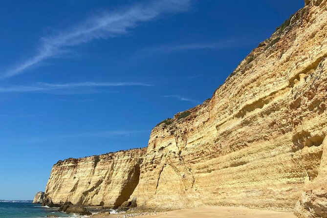 Kayak Tours With Amazing Caves, Sea Life and Marine Biologist . - Good To Know