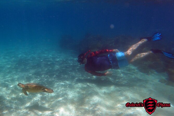 Kayaking and Snorkeling - Olowalu