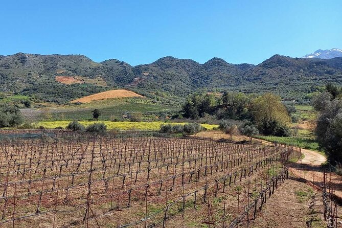 Keramia Traditional Wine and Food Tasting With Panoramic View - Wine and Food Tasting Experience