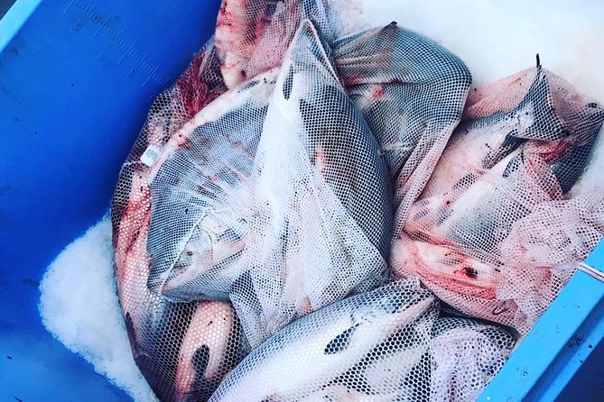 Ketchikan Fishing Charter - Overview of the Fishing Charter