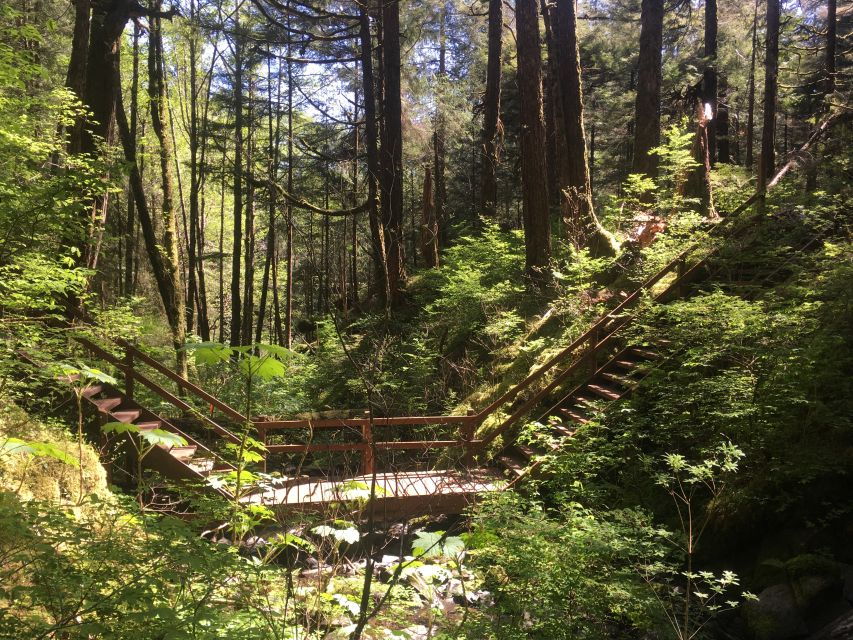 Ketchikan: Tongass Forest Alaska Bigfoot ATV Ride and Hike - Good To Know