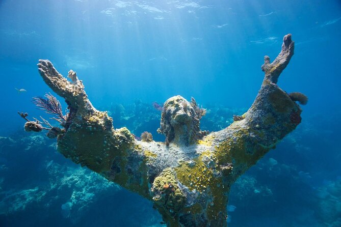Key Largo Half-Day Snorkeling Tour