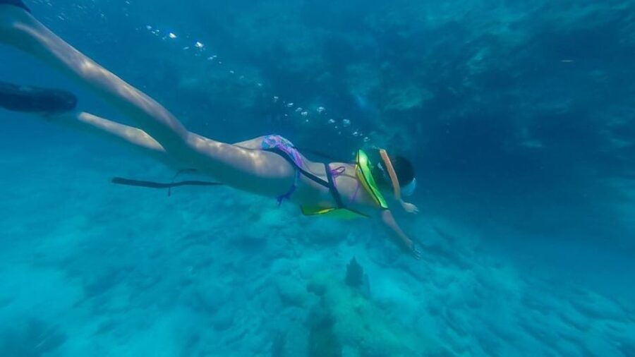 Key West: Catamaran Tour With Snorkeling & Water Activities - Good To Know