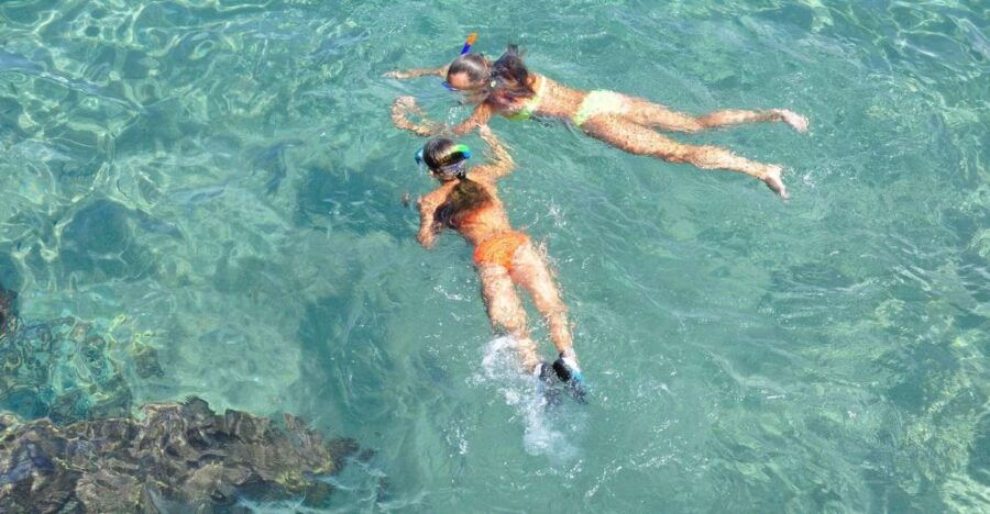 Key West: Snorkeling, Sunset Dinner Cruise & Open Bar - Good To Know
