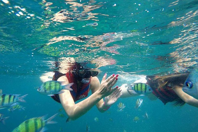 Khai Island Half Day Tour by Speed Boat From Phuket (Sha Plus) - Good To Know