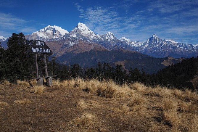 Khopra Mohare and Poon Hill Private Guided Trek - Trek Overview