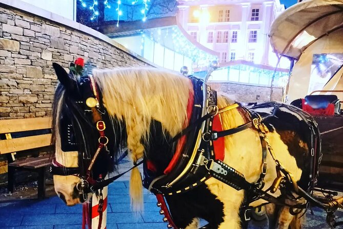 Killarney Sleigh Ride