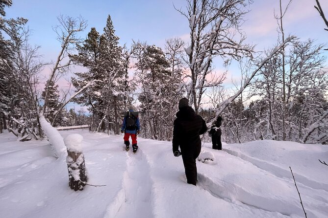 Kiruna Small-Group Snowshoe Activity