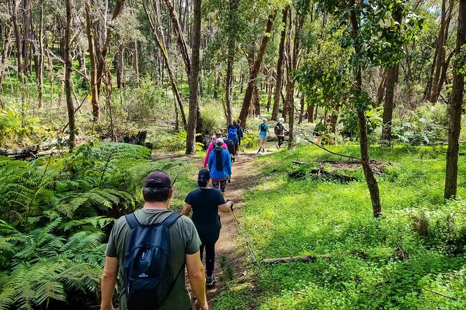 Kitty's Gorge Waterfall Hike in Australia - Good To Know