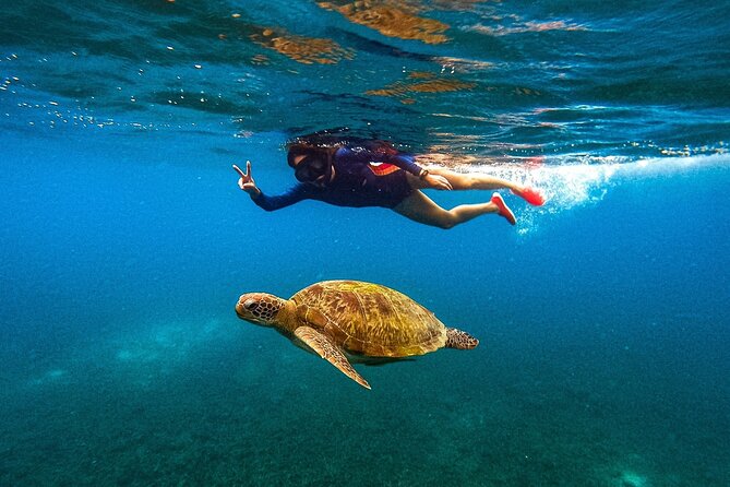 Koh Nang Yuan and Koh Tao 5 Point Snorkeling Tour